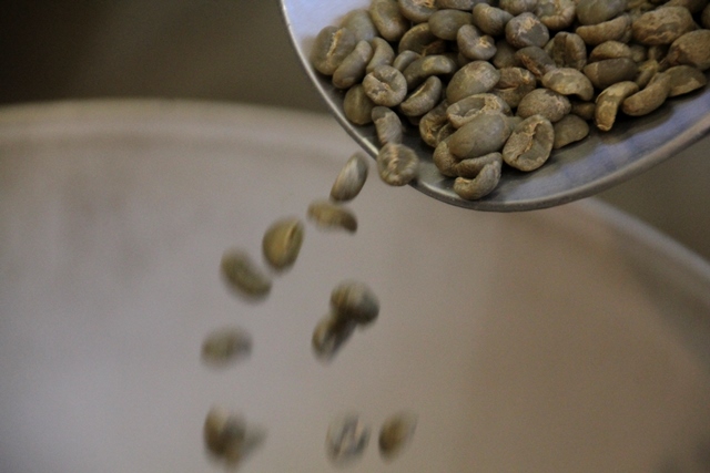 green-coffee-beans-falling-frm-scoop-into-container